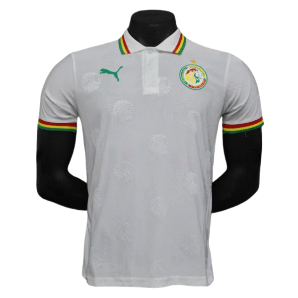 2024/2025 Senegal Special Edition Senegal Football Jersey for Players